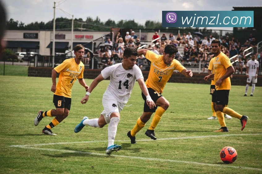 App Interface Preview